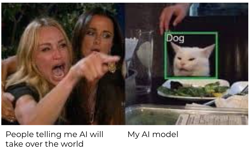 My AI model is wrong