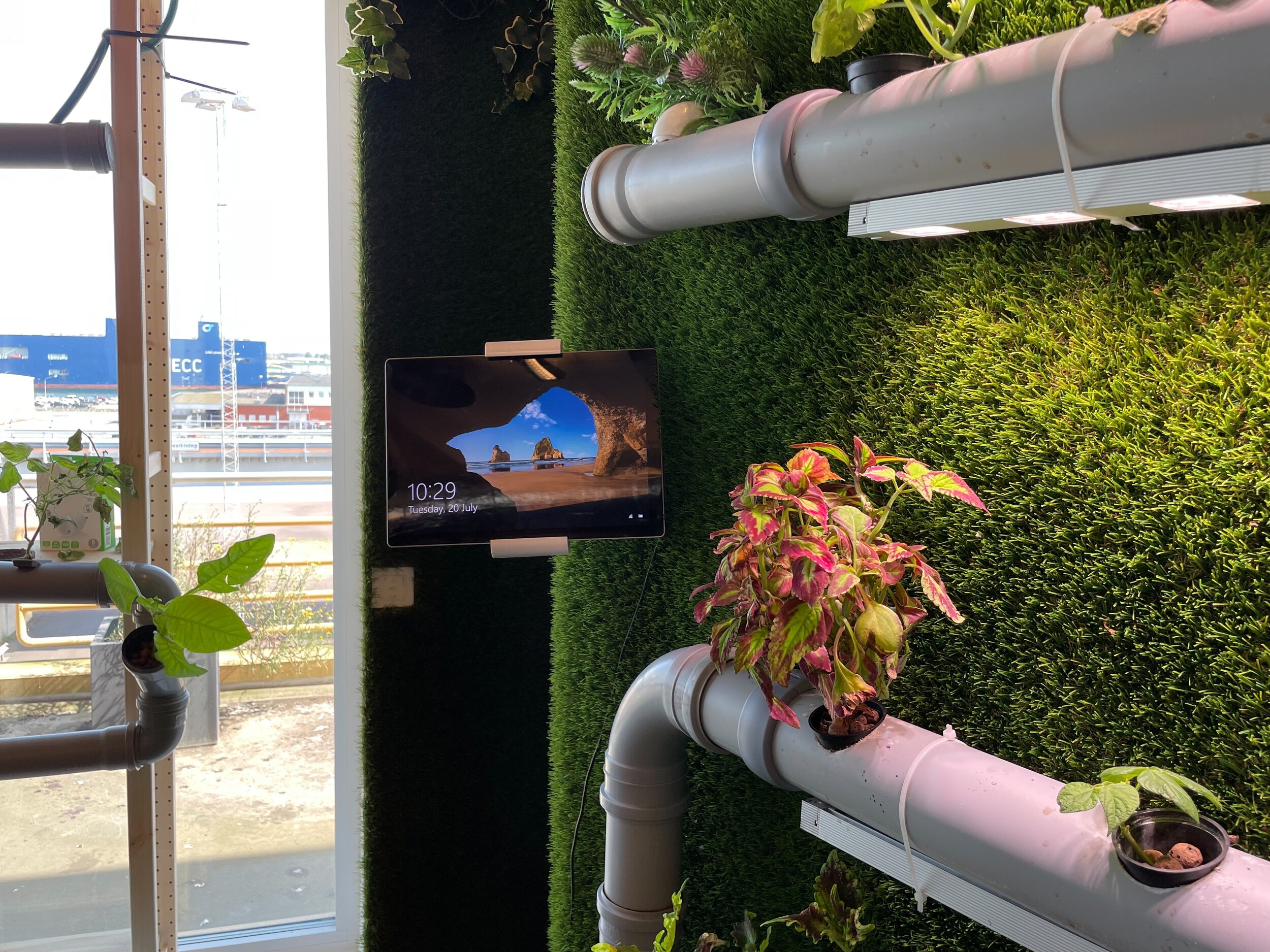If you visit Jayway Malmö you can find an ipad connected to the Greenheart. There you can see how the IoT system is maneuvered and how it regulates the necessities in the pipelines for optimal growing.