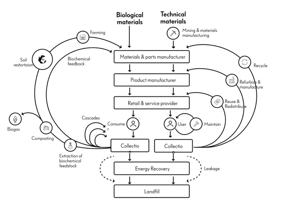 An illustration of circular economy based on the “butterfly diagram” by Ellen MacArthur Foundation.